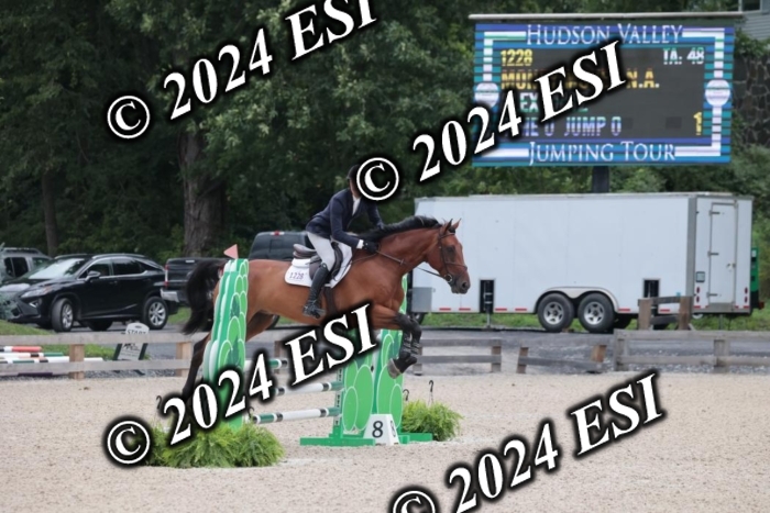 208SC1_1182