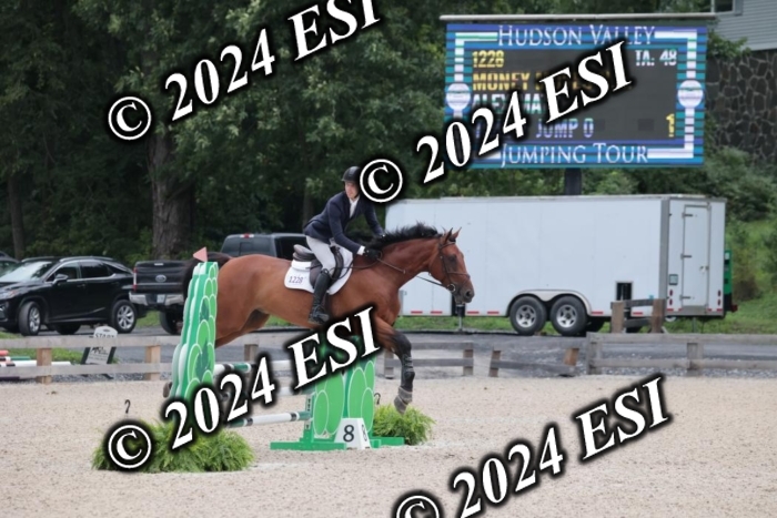 208SC1_1183