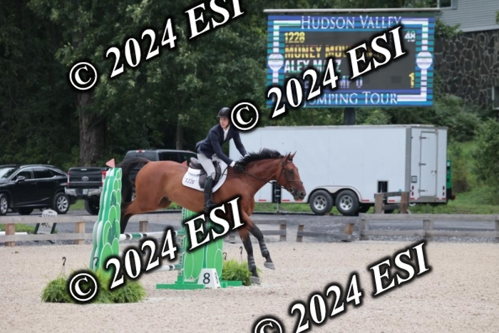 208SC1_1184