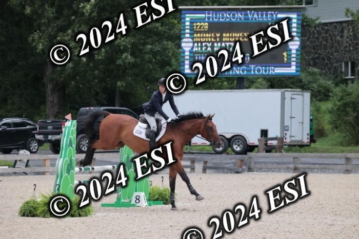 208SC1_1185