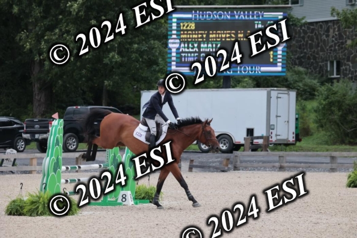 208SC1_1186