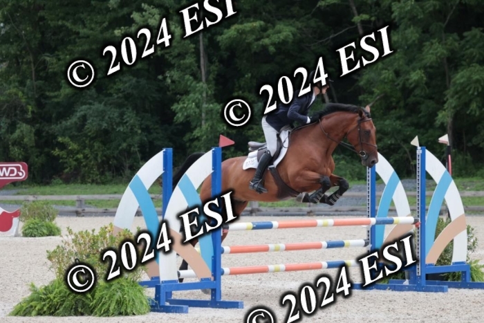 208SC1_1192