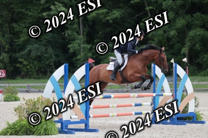 208SC1_1193
