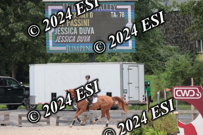208SC1_1195