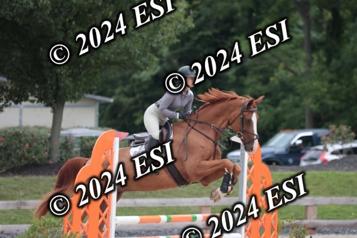 208SC1_1197