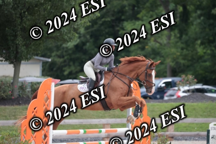 208SC1_1198