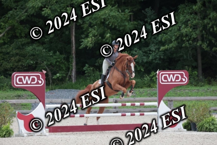 208SC1_1203