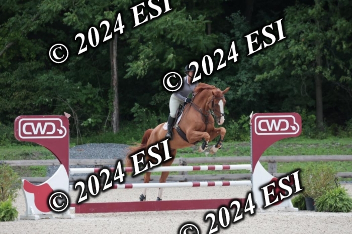 208SC1_1204