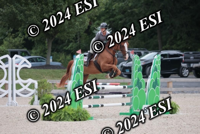 208SC1_1215