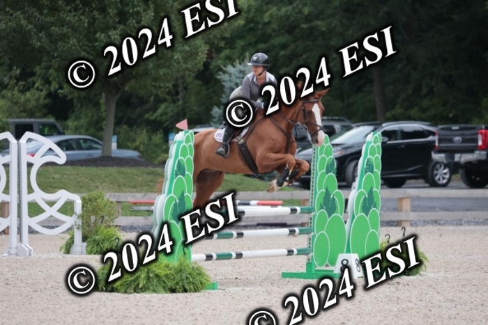 208SC1_1216