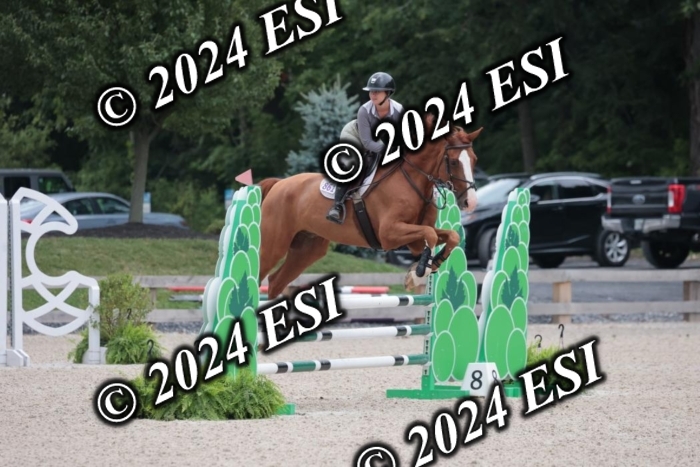 208SC1_1217