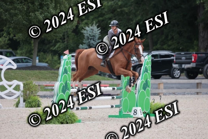 208SC1_1218