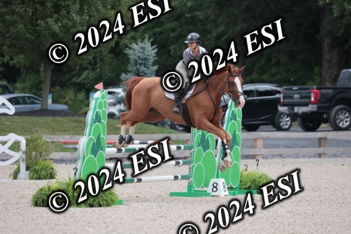 208SC1_1219