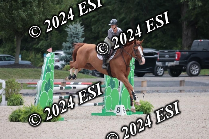 208SC1_1220