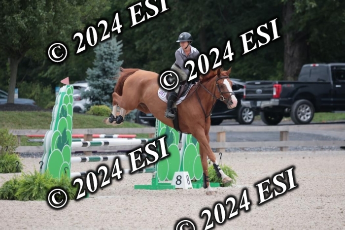 208SC1_1221