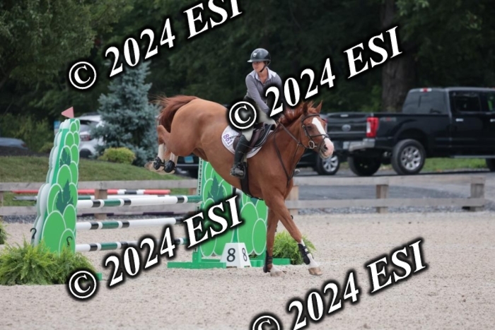 208SC1_1222