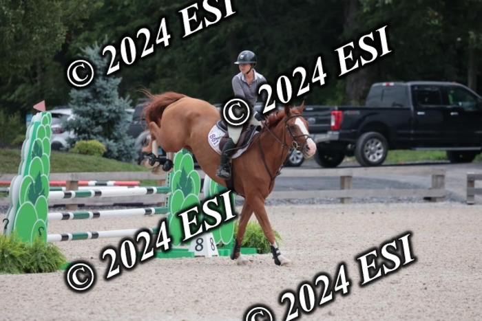 208SC1_1223