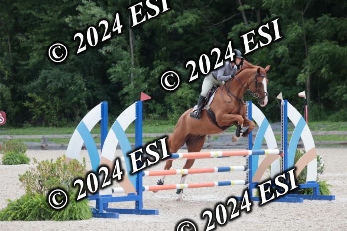 208SC1_1227