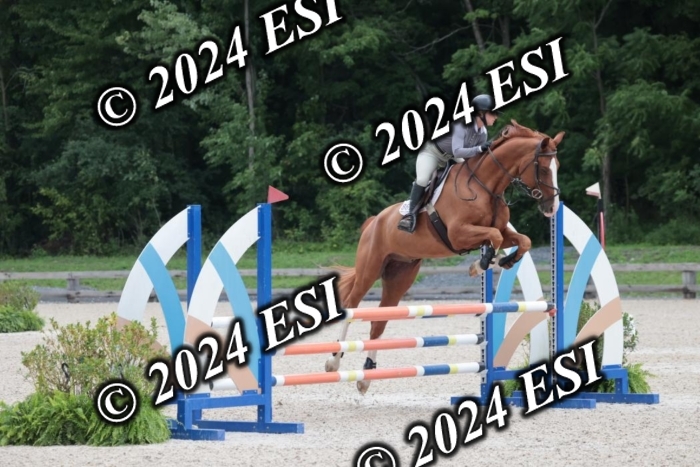 208SC1_1228