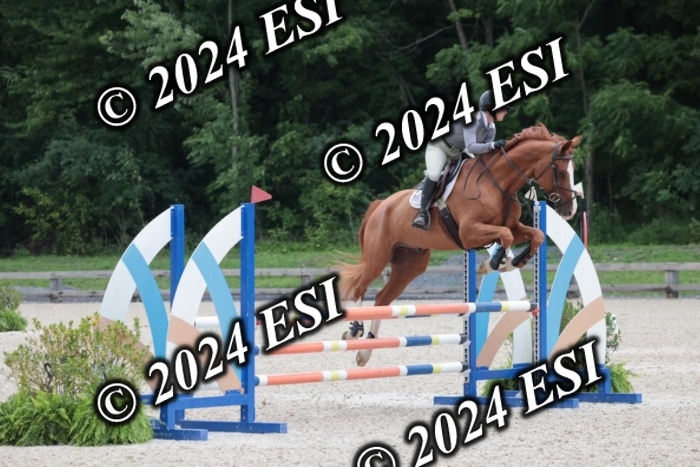 208SC1_1229