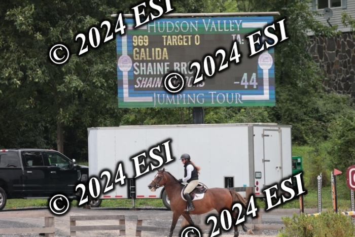 208SC1_1230