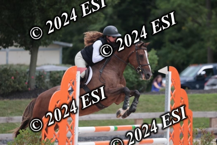 208SC1_1236