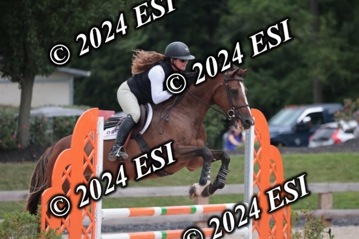 208SC1_1237