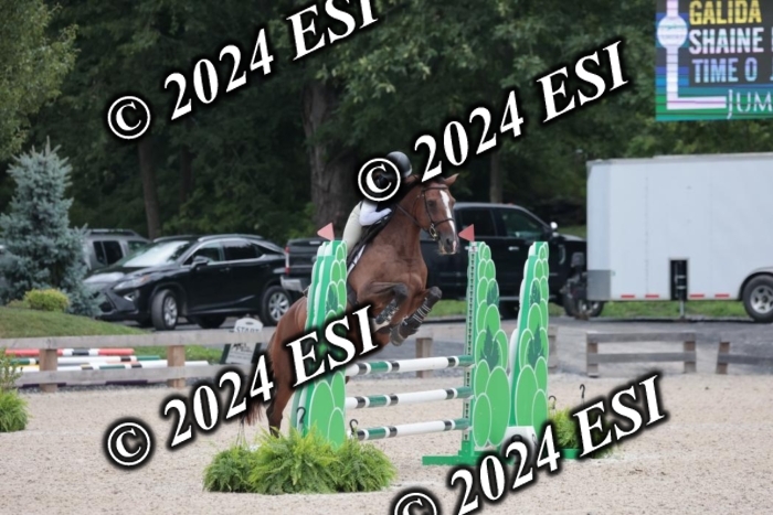 208SC1_1252