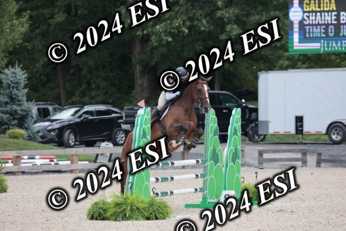 208SC1_1253