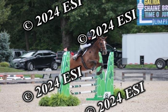 208SC1_1254