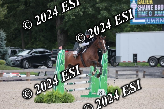 208SC1_1255