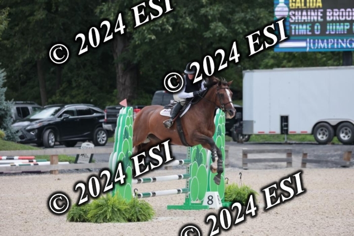 208SC1_1256
