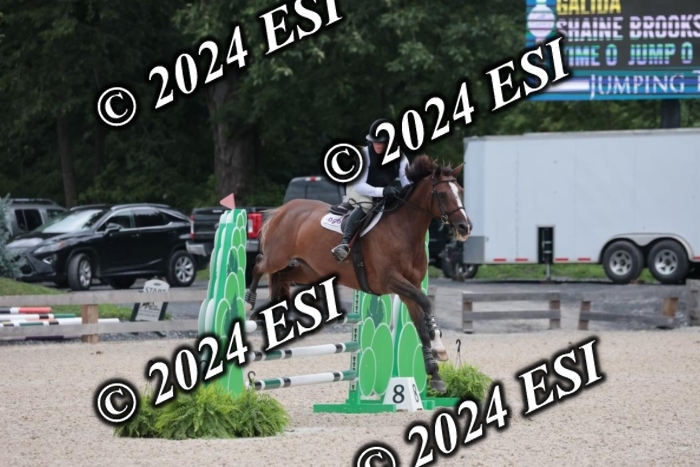 208SC1_1257
