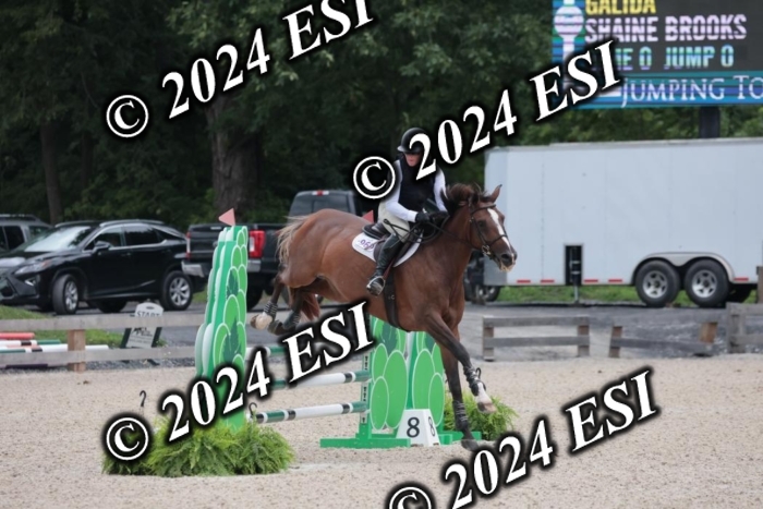 208SC1_1258