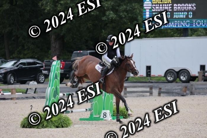 208SC1_1259