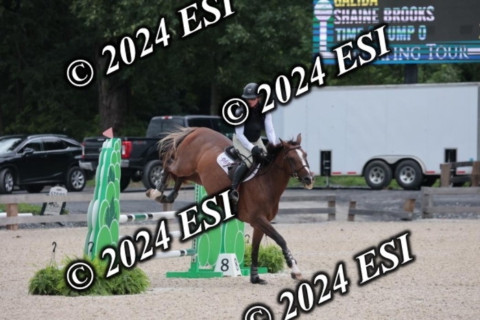 208SC1_1260