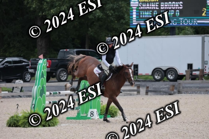 208SC1_1261