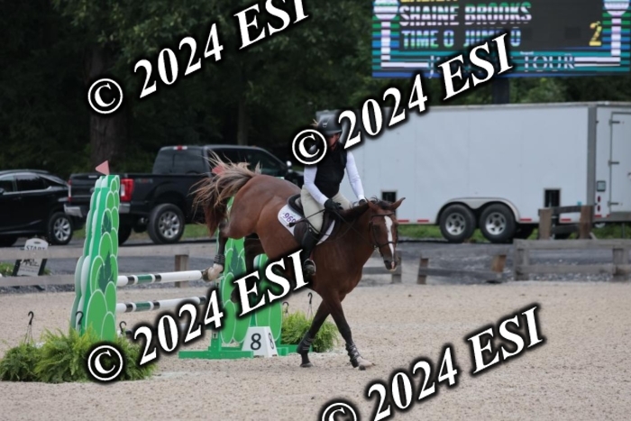 208SC1_1262