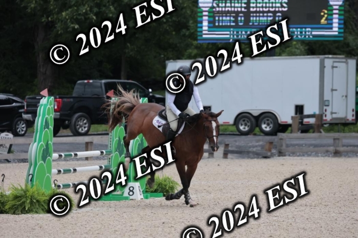 208SC1_1263