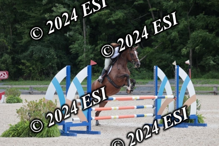 208SC1_1264