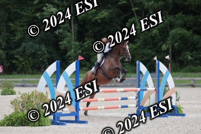208SC1_1265