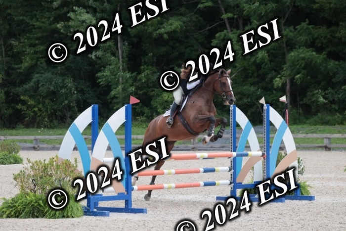 208SC1_1266