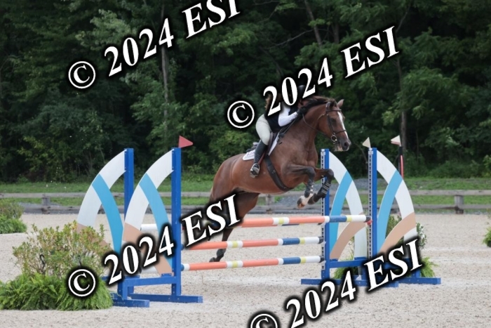 208SC1_1267
