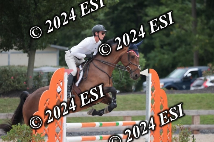 208SC1_1272