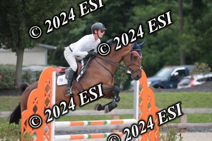 208SC1_1273