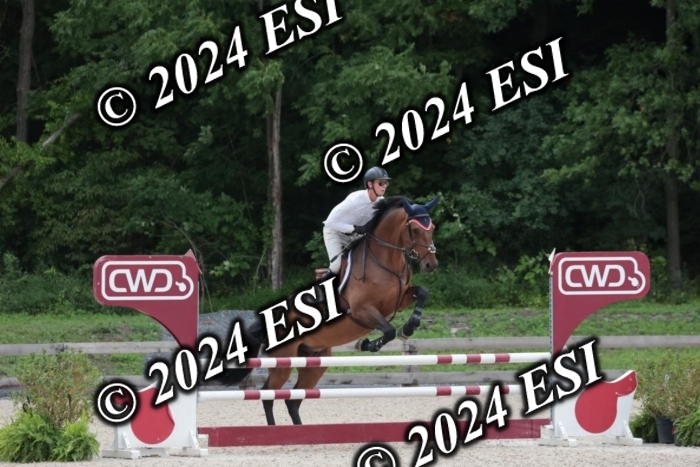 208SC1_1274