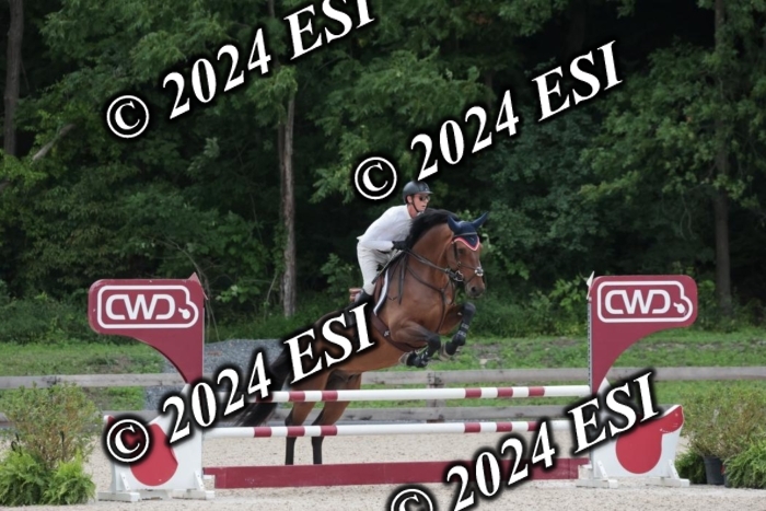 208SC1_1275
