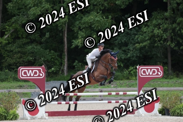208SC1_1276
