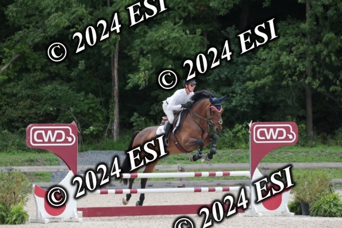 208SC1_1277