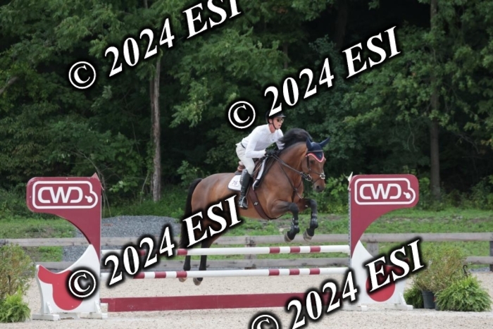 208SC1_1278